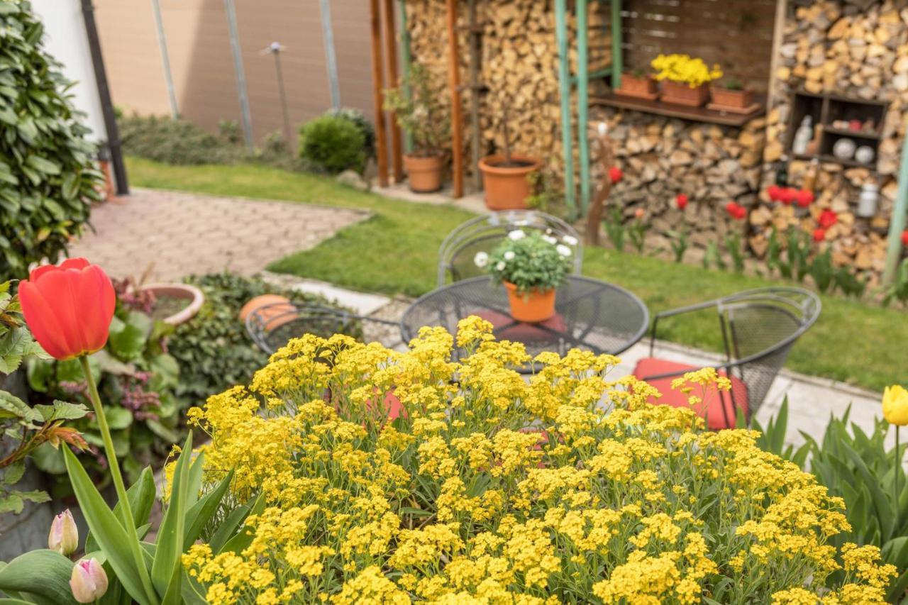 Apartamento Haus Schneider Kressbronn am Bodensee Exterior foto